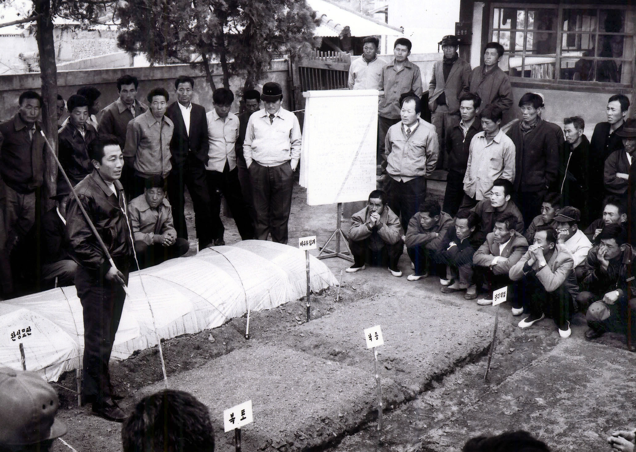 1000-39 보온못자리설치 교육(1975).jpg