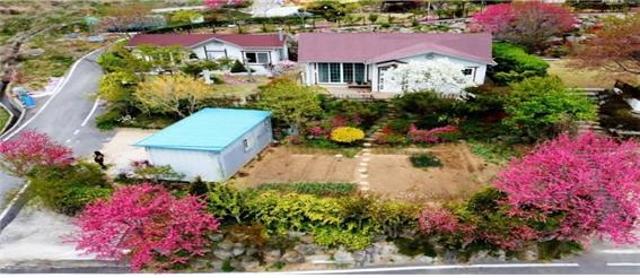 동네작가[조점동]종남산 남동마을의 홍동화 꽃가꾸기 관련사진