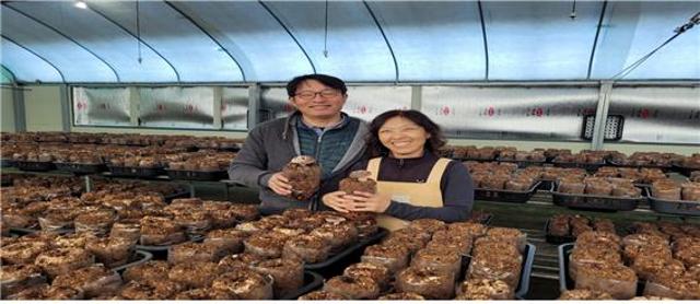 동네작가[채승우]경남 밀양시 백산표고버섯농장을 소개합니다. 관련사진