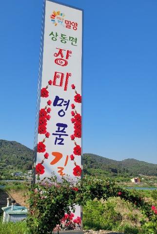 동네작가[하혜정]꽃길만 걷자~ 관련사진